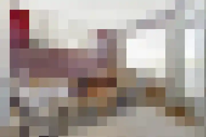 Blekerskade 44 Alkmaar thumbnail 8