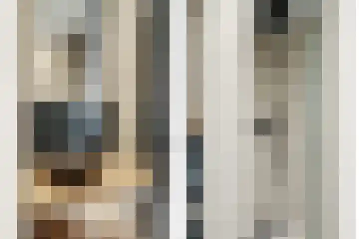 Blekerskade 51 Alkmaar thumbnail 19