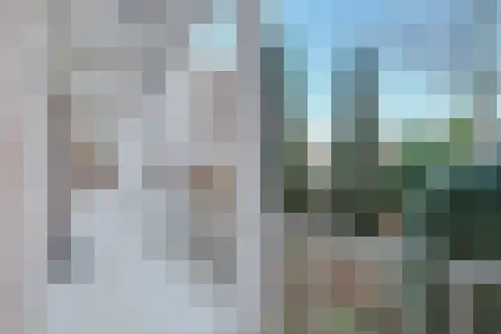 Blekerskade 51 Alkmaar thumbnail 32