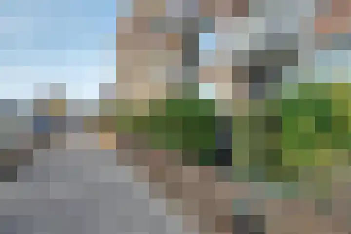Blekerskade 51 Alkmaar thumbnail 33