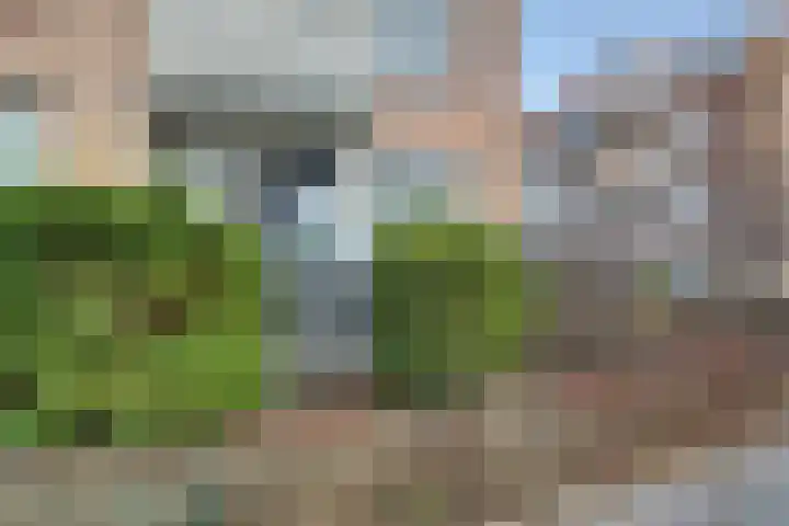 Blekerskade 51 Alkmaar thumbnail 4