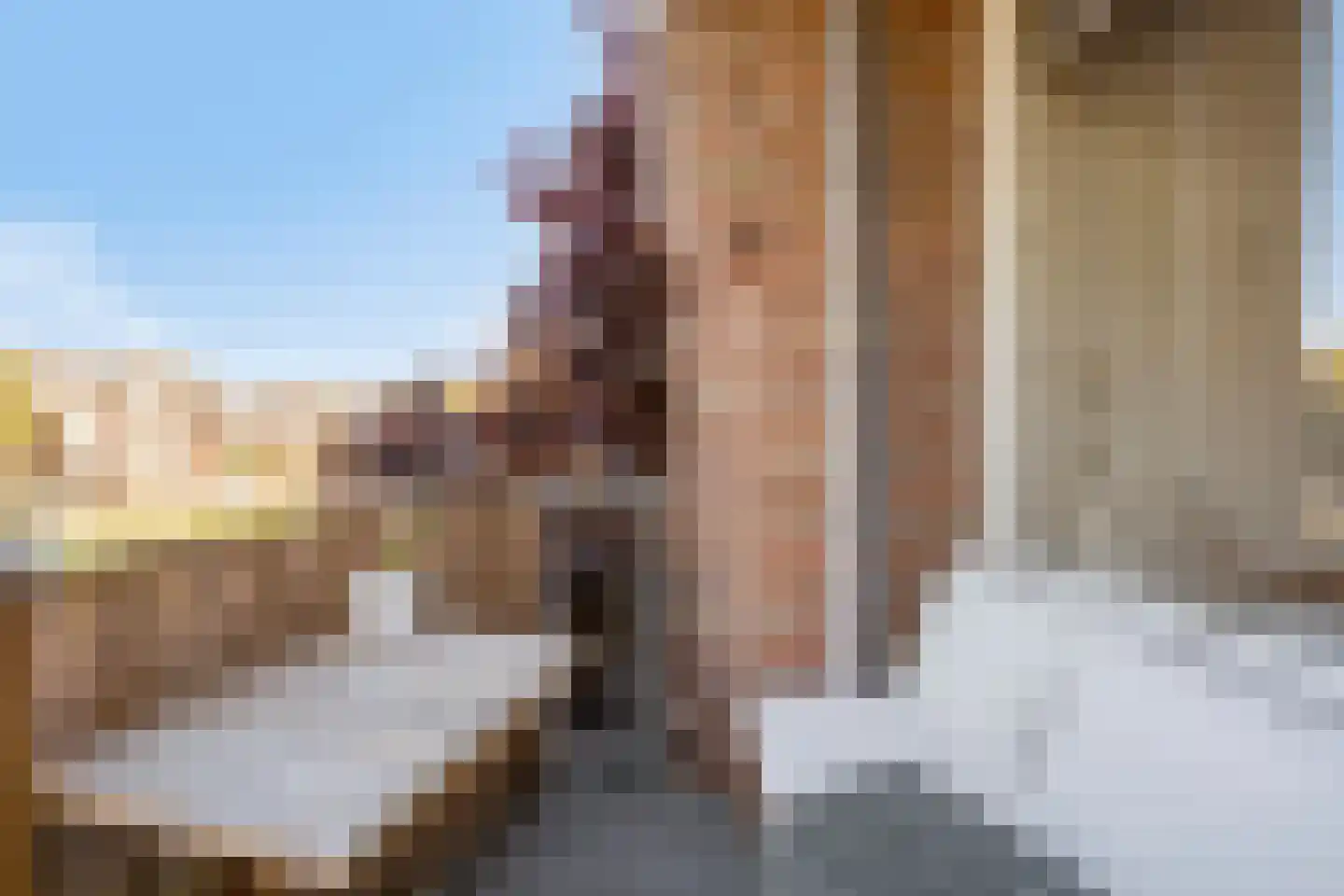 Blekerskade 52 Alkmaar thumbnail 11