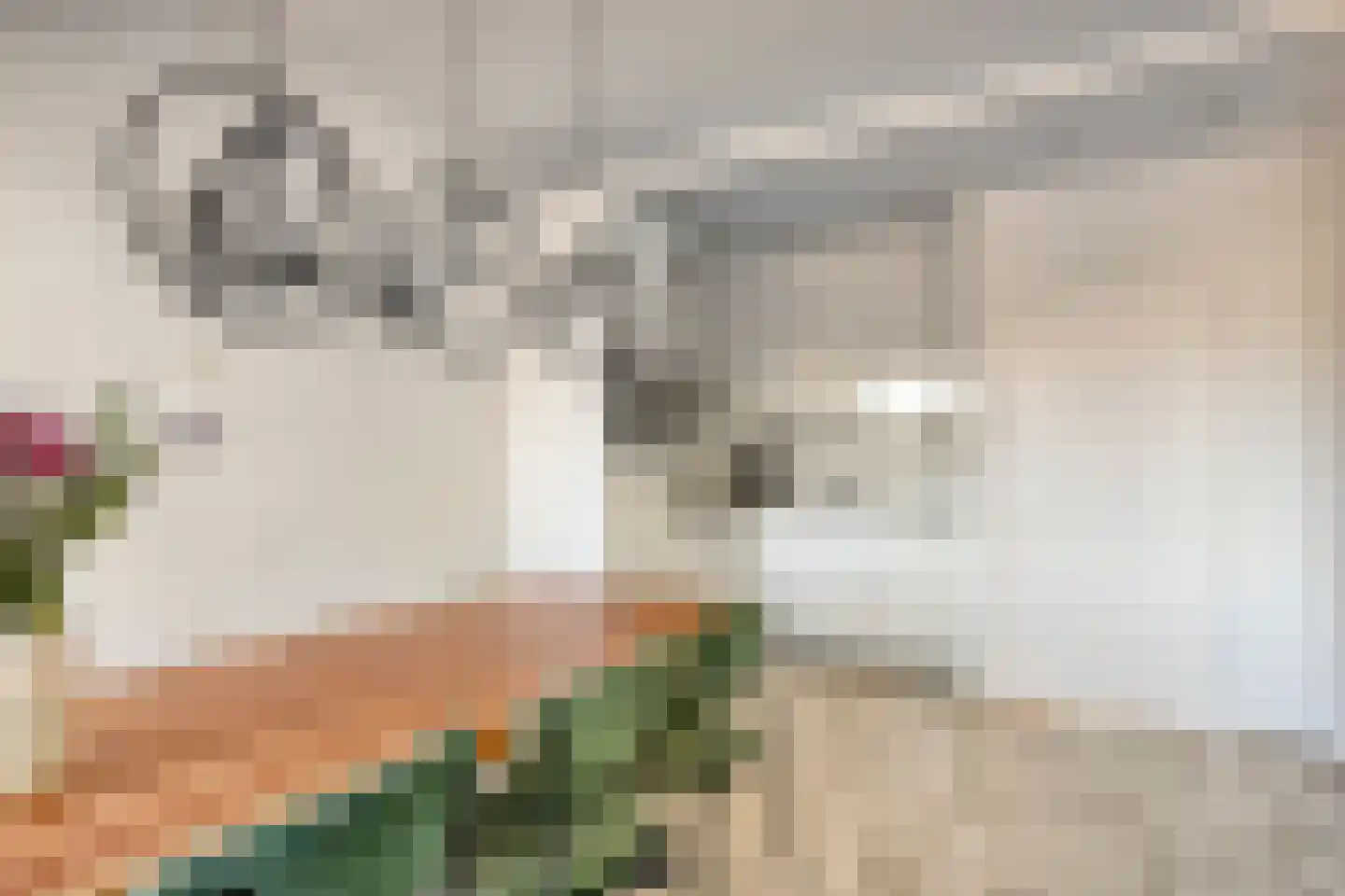 Blekerskade 52 Alkmaar thumbnail 8