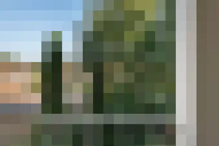 Blekerskade 55 Alkmaar thumbnail 13