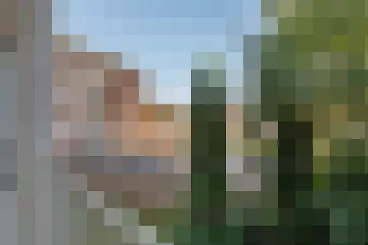 Blekerskade 55 Alkmaar thumbnail 15