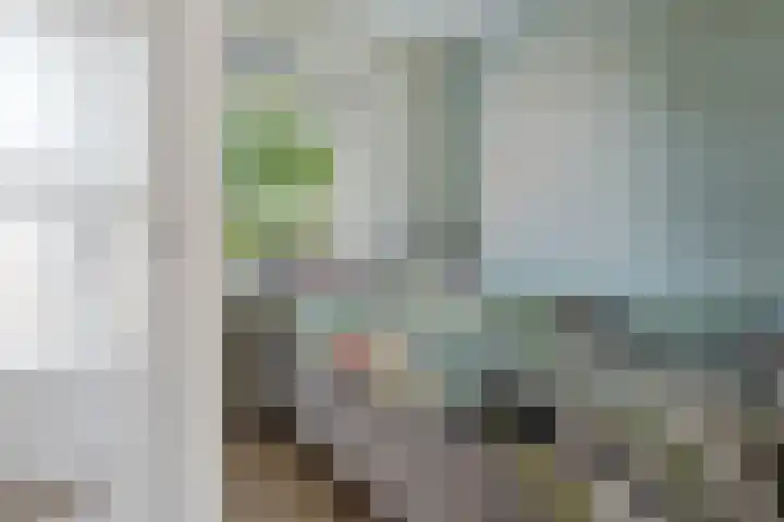 Blekerskade 55 Alkmaar thumbnail 16