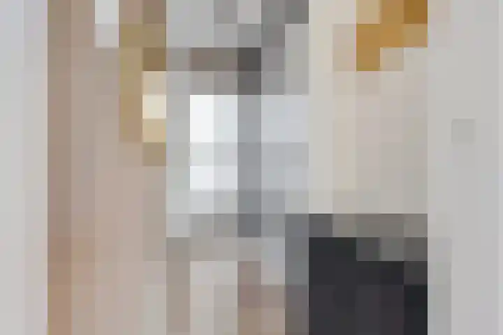 Blekerskade 55 Alkmaar thumbnail 5