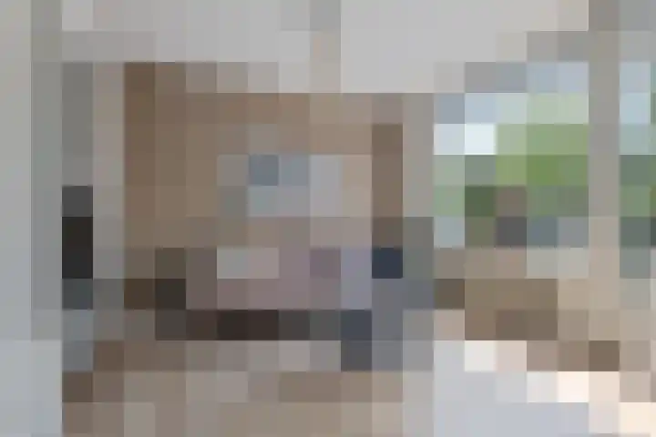 Blekerskade 55 Alkmaar thumbnail 6