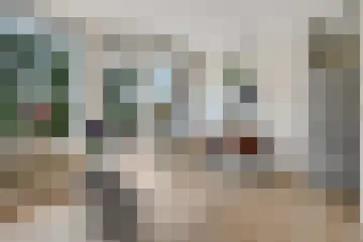 Blekerskade 55 Alkmaar thumbnail 7
