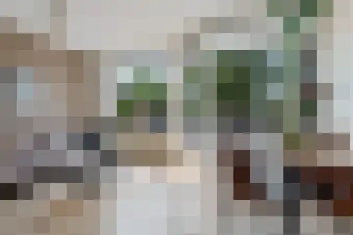 Blekerskade 55 Alkmaar thumbnail 8