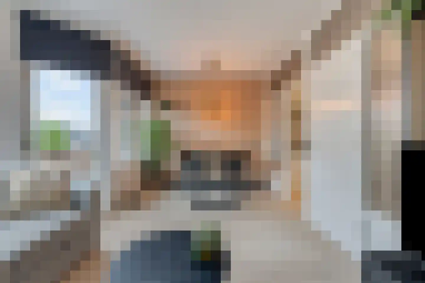 Blekerskade 60 Alkmaar thumbnail 24