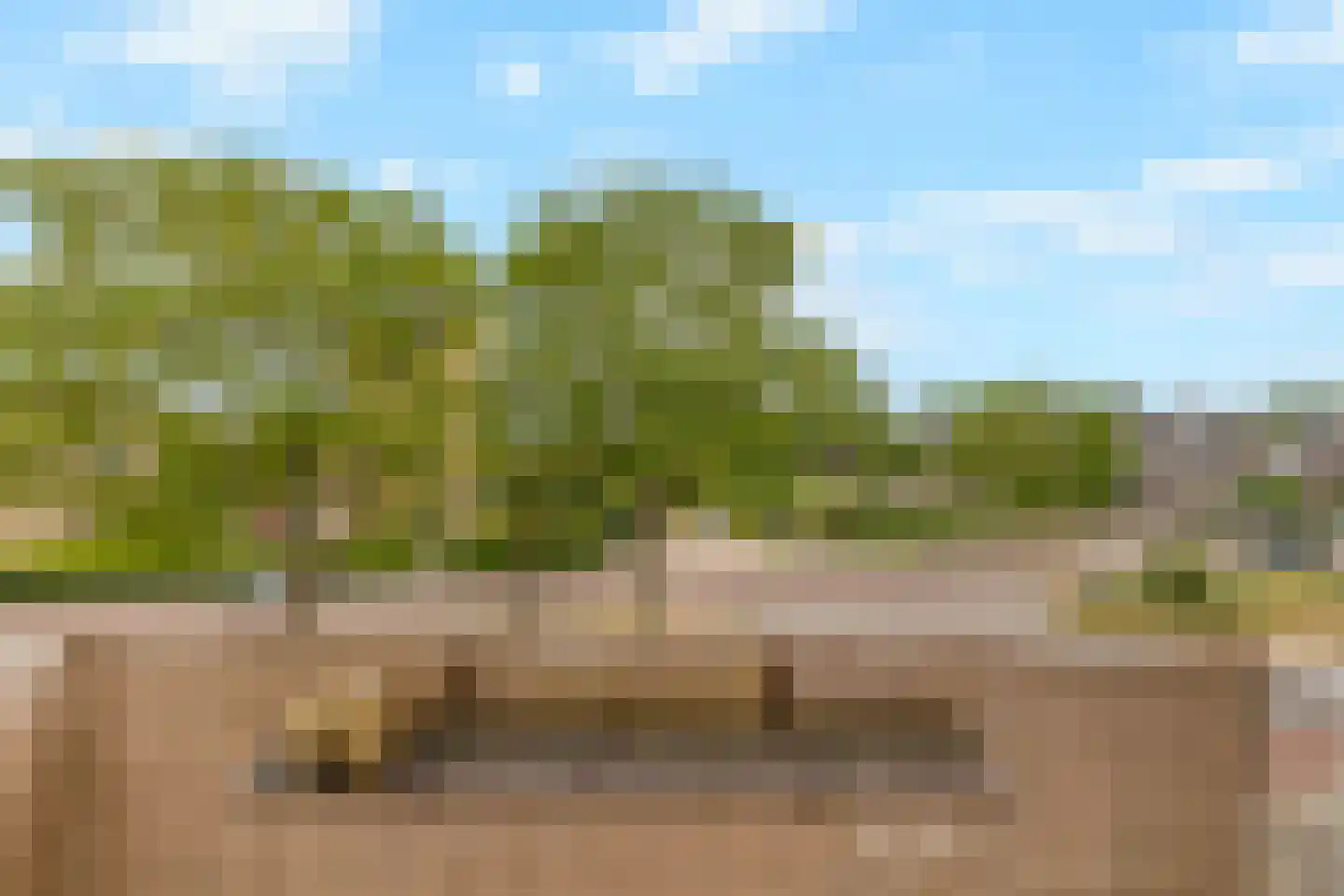 Blekerskade 60 Alkmaar thumbnail 31