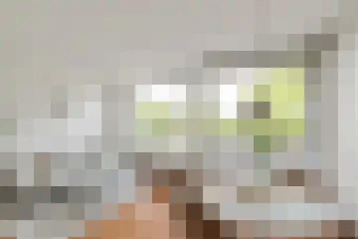 Blekerskade 62 Alkmaar thumbnail 12