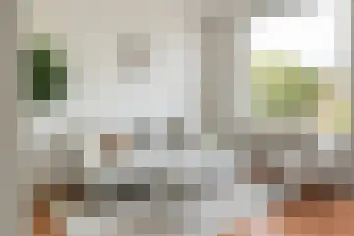 Blekerskade 62 Alkmaar thumbnail 13