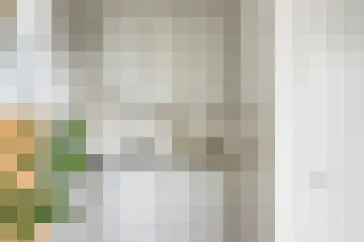 Blekerskade 62 Alkmaar thumbnail 16