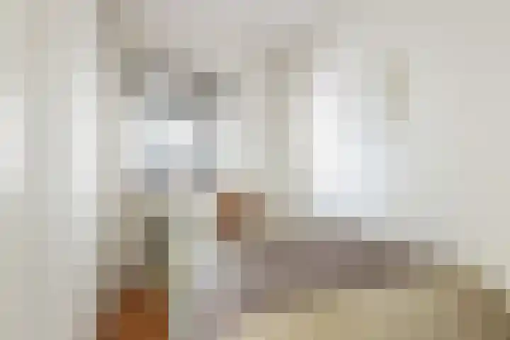 Blekerskade 62 Alkmaar thumbnail 20