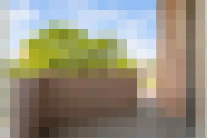 Blekerskade 62 Alkmaar thumbnail 25