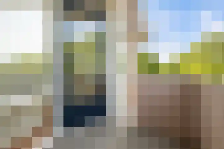 Blekerskade 62 Alkmaar thumbnail 26