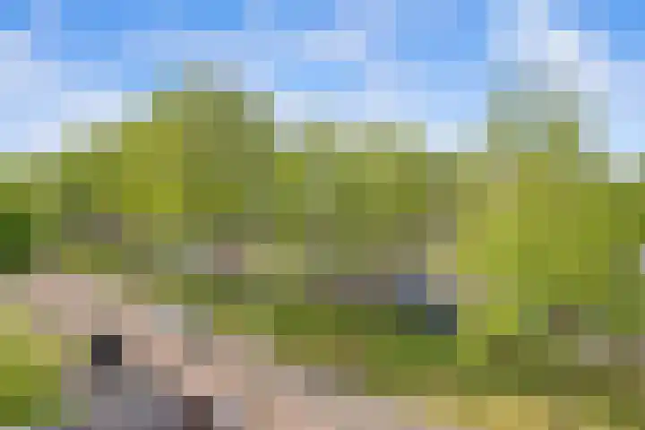 Blekerskade 62 Alkmaar thumbnail 27