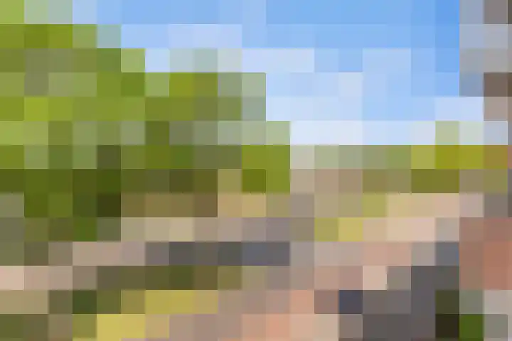 Blekerskade 62 Alkmaar thumbnail 28