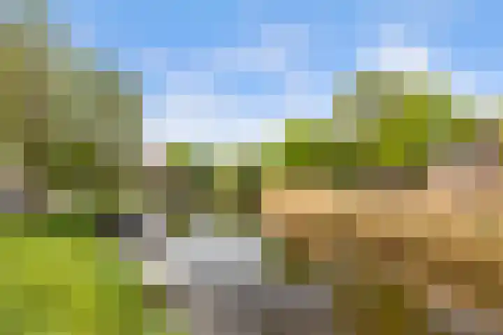 Blekerskade 62 Alkmaar thumbnail 29