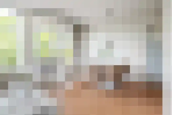 Blekerskade 62 Alkmaar thumbnail 9
