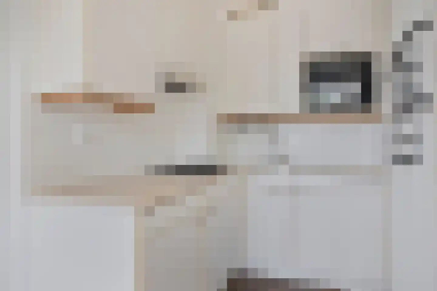 Blekerskade 65 Alkmaar thumbnail 6
