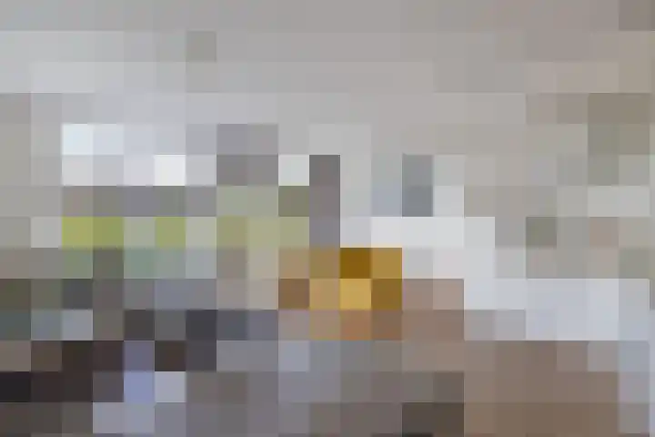 Blekerskade 69 Alkmaar