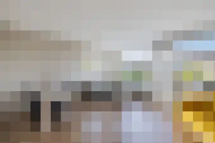 Blekerskade 69 Alkmaar thumbnail 14