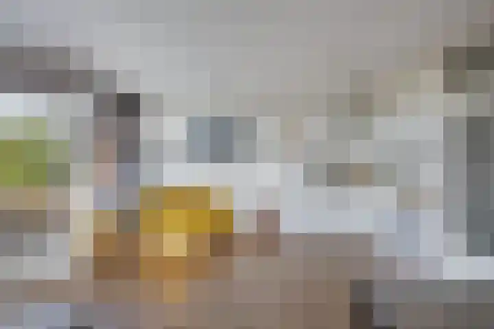 Blekerskade 69 Alkmaar thumbnail 16