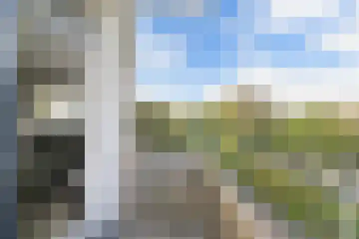 Blekerskade 69 Alkmaar thumbnail 17