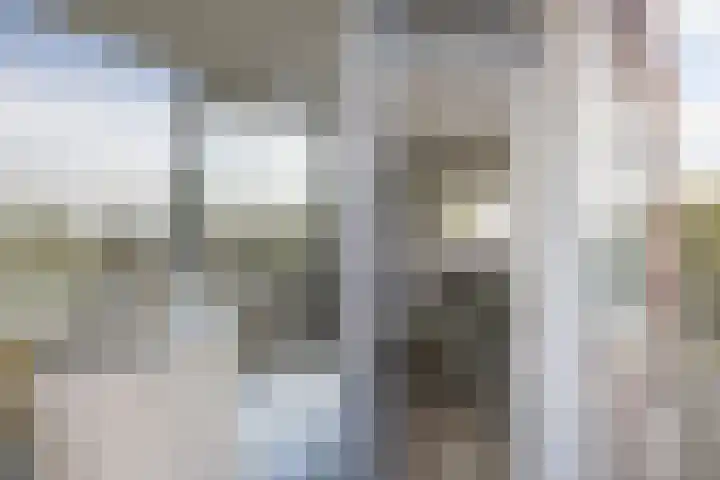 Blekerskade 69 Alkmaar thumbnail 18