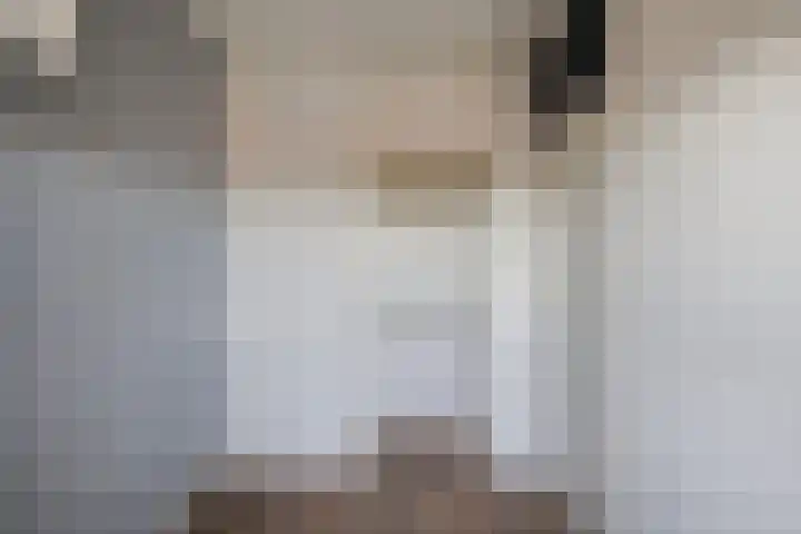 Blekerskade 69 Alkmaar thumbnail 22