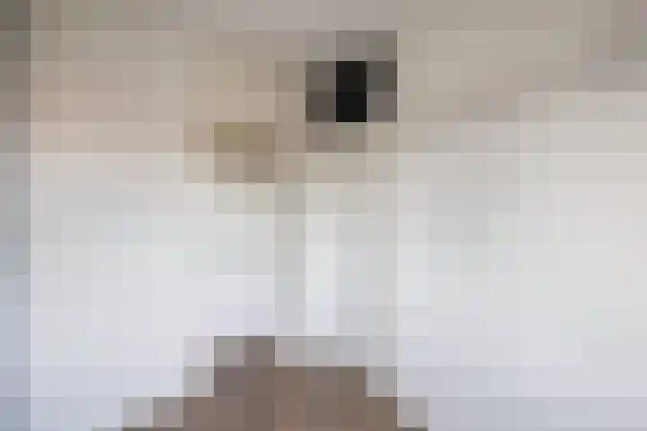 Blekerskade 69 Alkmaar thumbnail 23