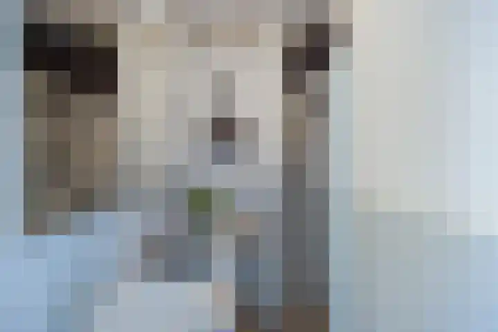 Blekerskade 69 Alkmaar thumbnail 24