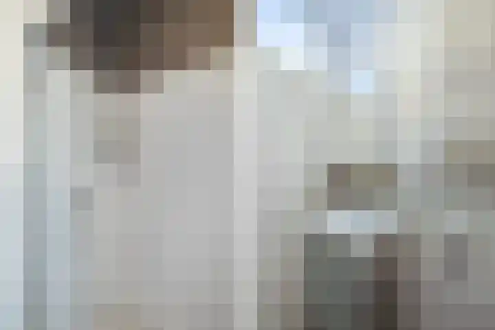 Blekerskade 69 Alkmaar thumbnail 26