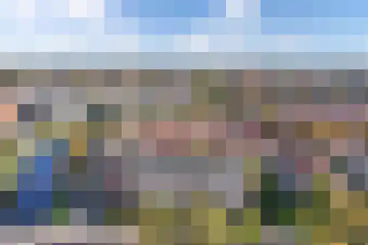 Blekerskade 69 Alkmaar thumbnail 28