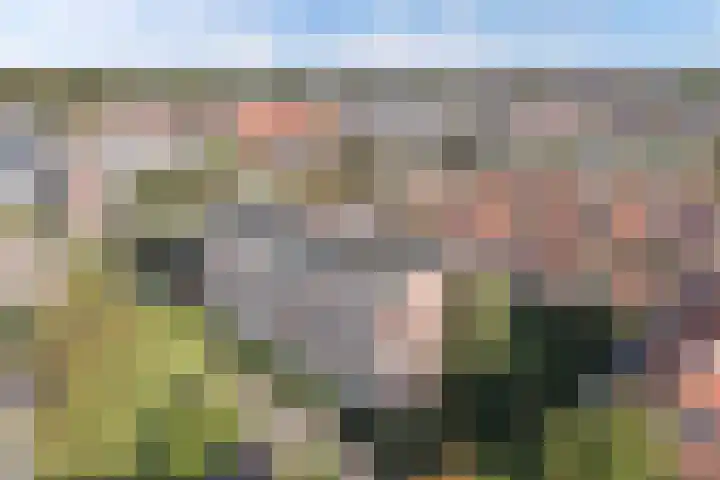 Blekerskade 69 Alkmaar thumbnail 29