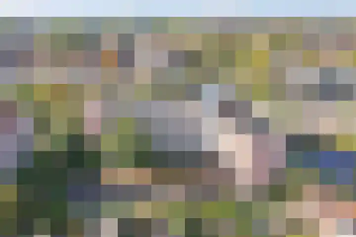 Blekerskade 69 Alkmaar thumbnail 7