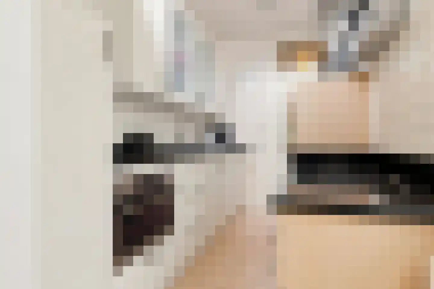 Blekerskade 8 Alkmaar thumbnail 10