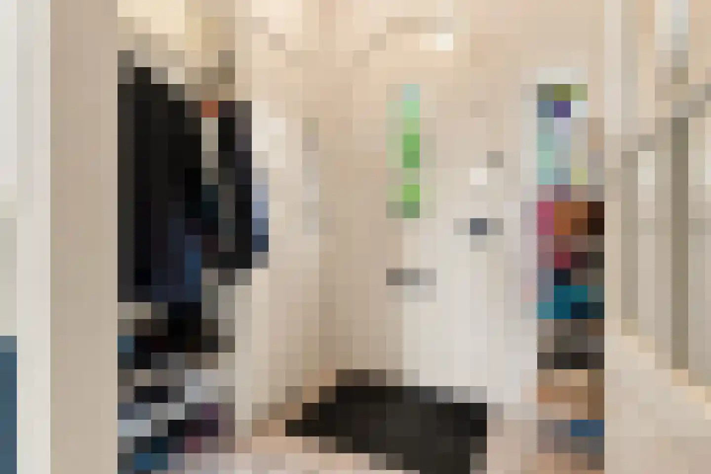 Blekerskade 8 Alkmaar thumbnail 12