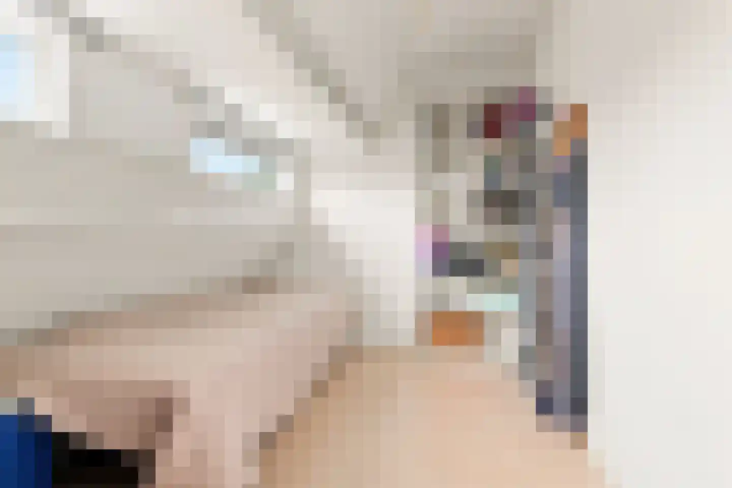 Blekerskade 8 Alkmaar thumbnail 26