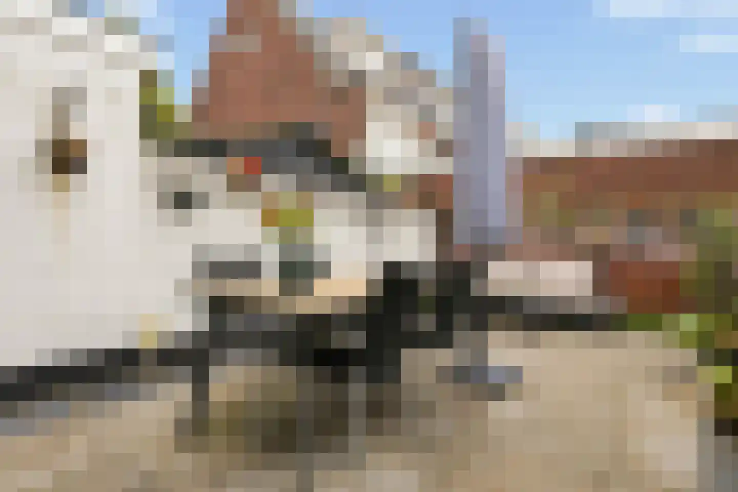 Blekerskade 8 Alkmaar thumbnail 28