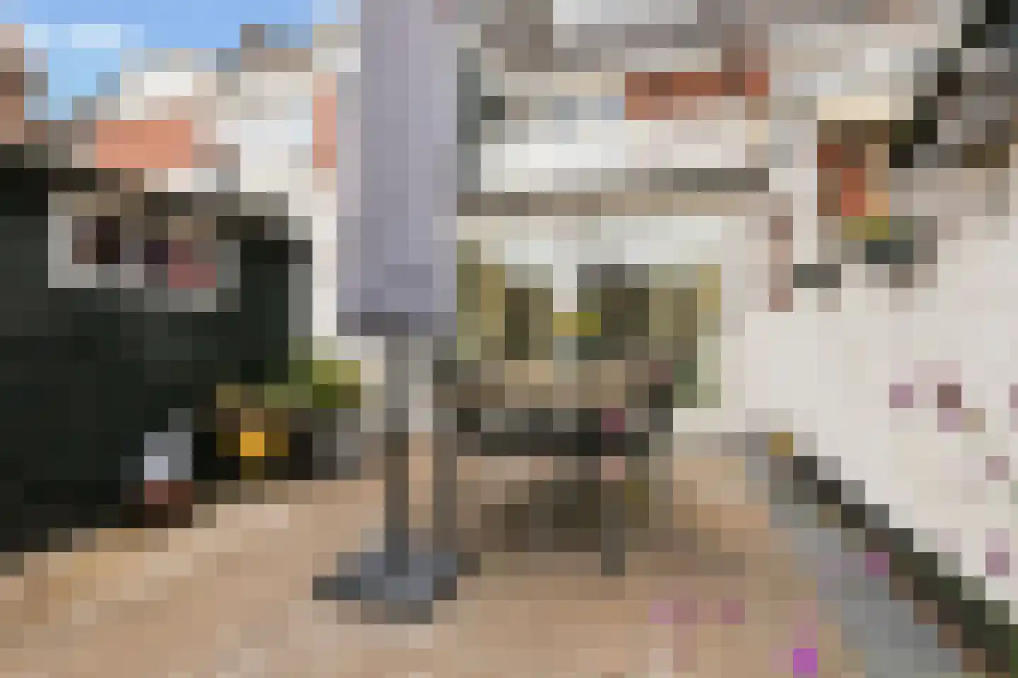 Blekerskade 8 Alkmaar thumbnail 30
