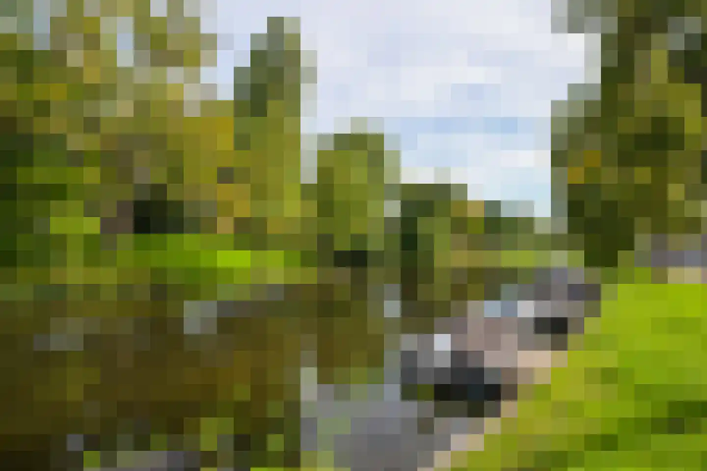 Blekerskade 8 Alkmaar thumbnail 34