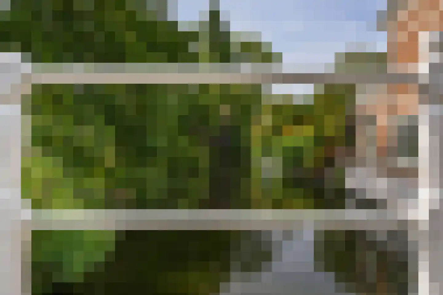Blekerskade 8 Alkmaar thumbnail 35