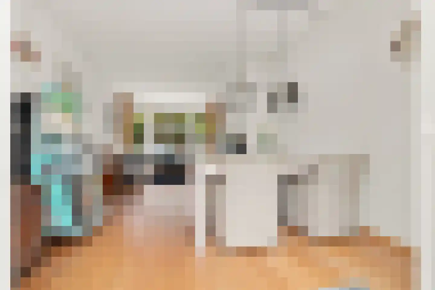 Blekerskade 8 Alkmaar thumbnail 8