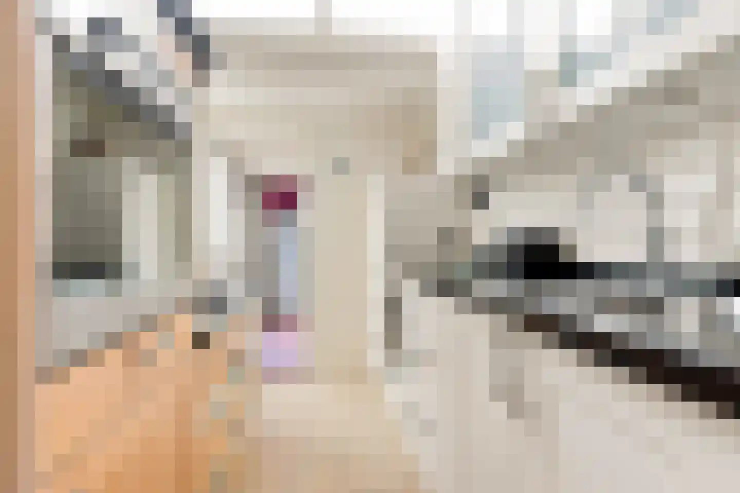 Blekerskade 8 Alkmaar thumbnail 9
