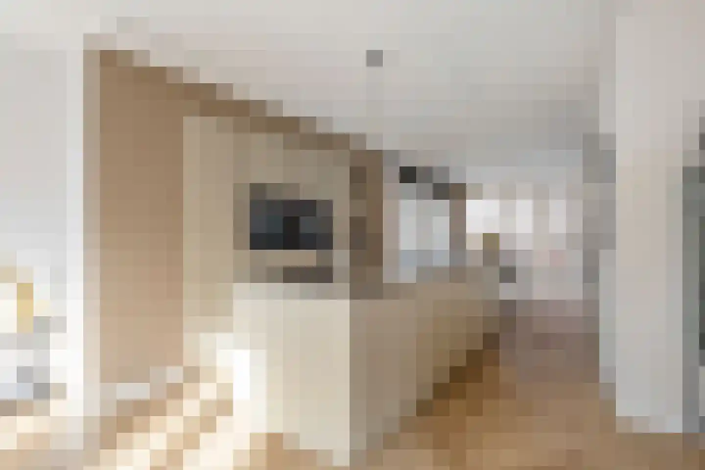 Blekerslaan 2 a Rijswijk thumbnail 12