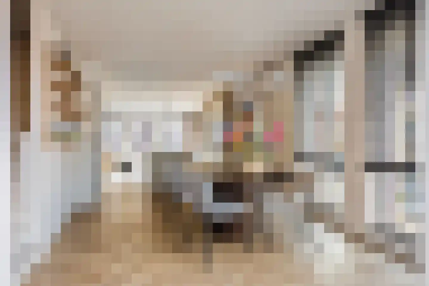 Blekerslaan 2 a Rijswijk thumbnail 20